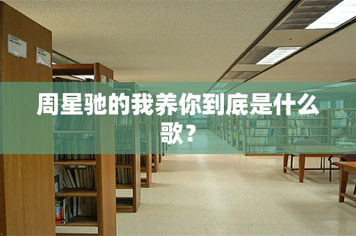 周星驰的我养你到底是什么歌？