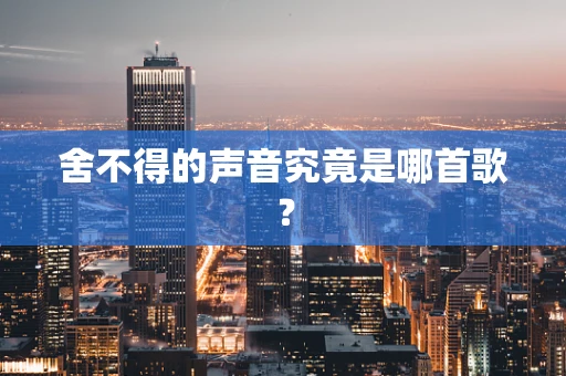 舍不得的声音究竟是哪首歌？