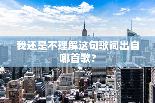 我还是不理解这句歌词出自哪首歌？