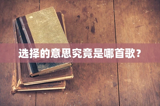 选择的意思究竟是哪首歌？