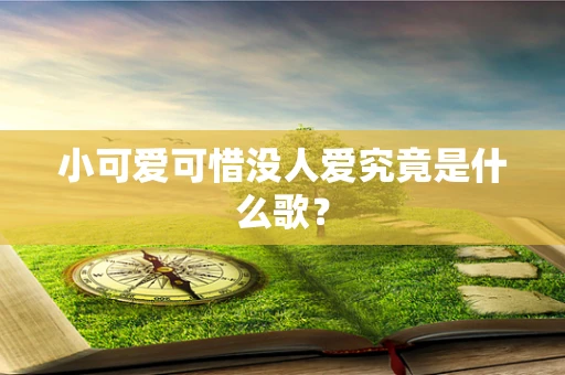 小可爱可惜没人爱究竟是什么歌？