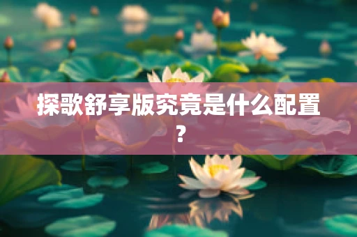 探歌舒享版究竟是什么配置？