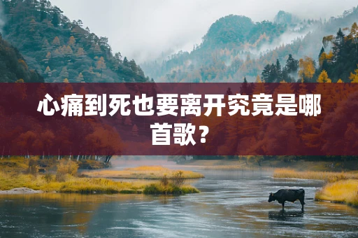 心痛到死也要离开究竟是哪首歌？