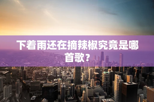 下着雨还在摘辣椒究竟是哪首歌？