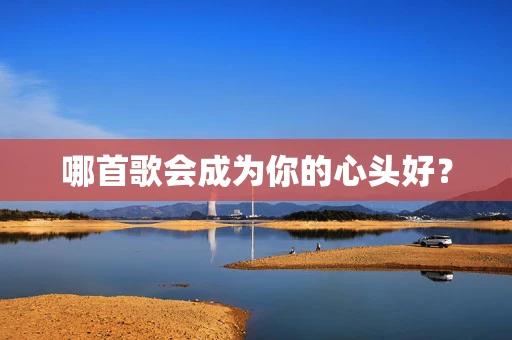 哪首歌会成为你的心头好？