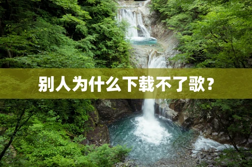 别人为什么下载不了歌？