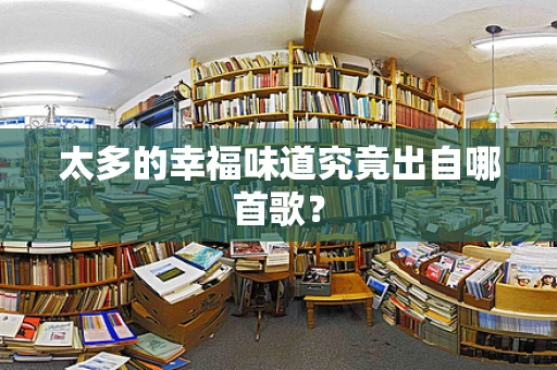 太多的幸福味道究竟出自哪首歌？
