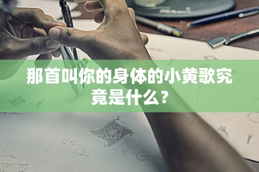那首叫你的身体的小黄歌究竟是什么？