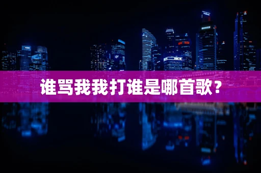 谁骂我我打谁是哪首歌？