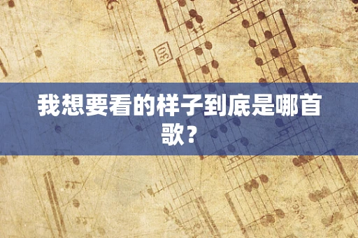 我想要看的样子到底是哪首歌？
