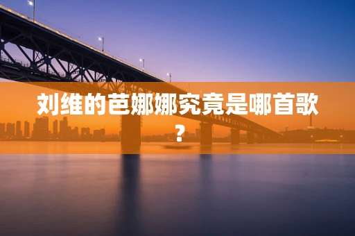 刘维的芭娜娜究竟是哪首歌？