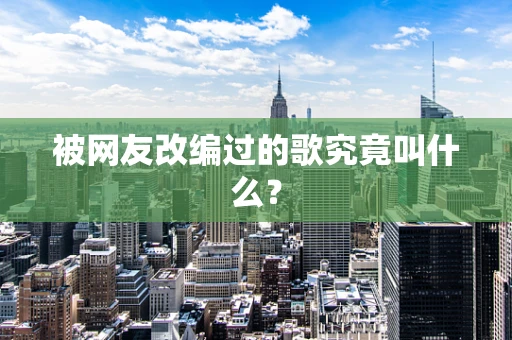 被网友改编过的歌究竟叫什么？