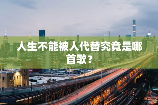 人生不能被人代替究竟是哪首歌？