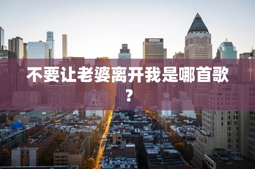 不要让老婆离开我是哪首歌？