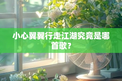 小心翼翼行走江湖究竟是哪首歌？