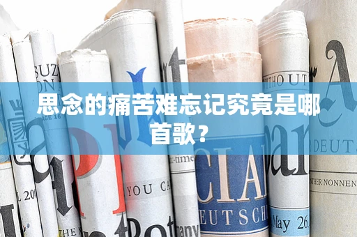 思念的痛苦难忘记究竟是哪首歌？