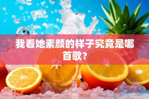 我看她素颜的样子究竟是哪首歌？