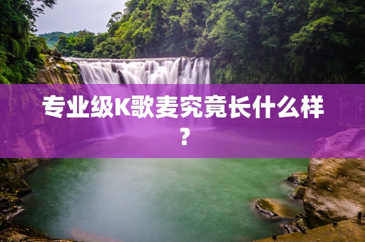 专业级K歌麦究竟长什么样？
