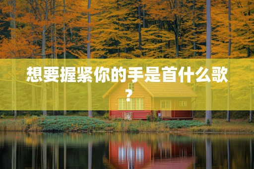 想要握紧你的手是首什么歌？