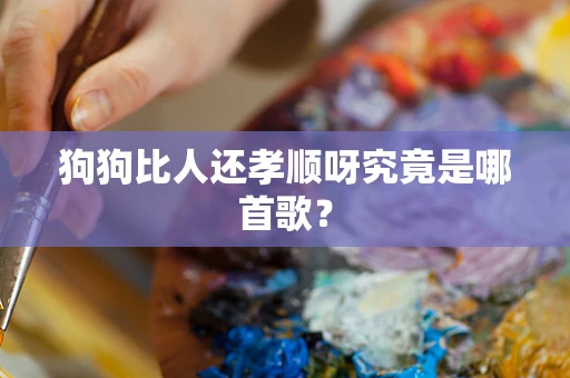 狗狗比人还孝顺呀究竟是哪首歌？