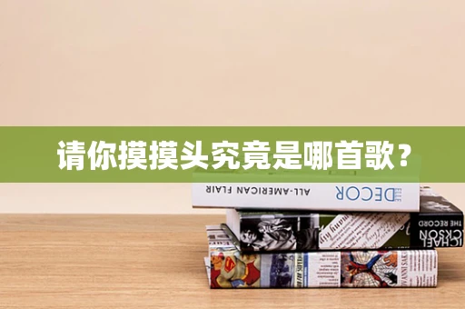 请你摸摸头究竟是哪首歌？