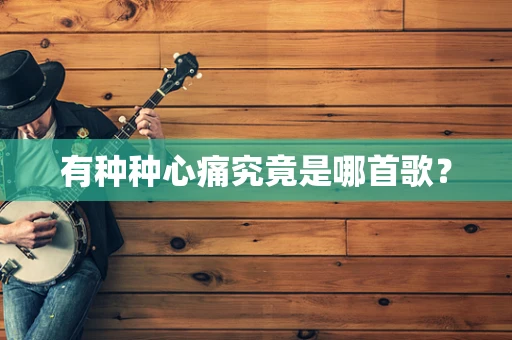 有种种心痛究竟是哪首歌？