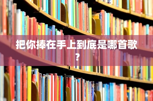把你捧在手上到底是哪首歌？