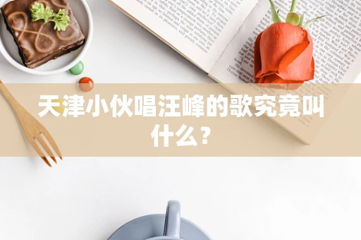 天津小伙唱汪峰的歌究竟叫什么？