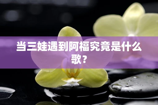 当三娃遇到阿福究竟是什么歌？
