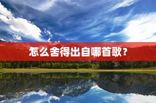 怎么舍得出自哪首歌？