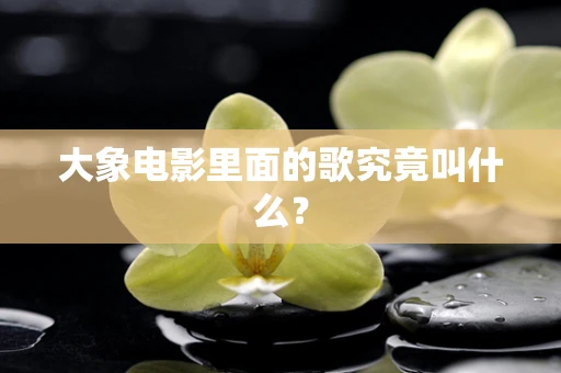 大象电影里面的歌究竟叫什么？