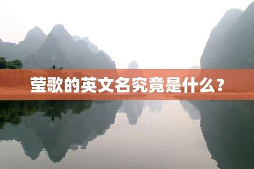 莹歌的英文名究竟是什么？