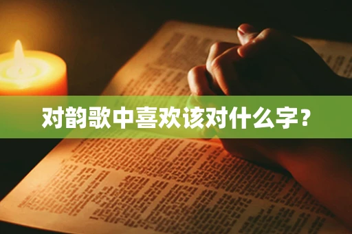 对韵歌中喜欢该对什么字？