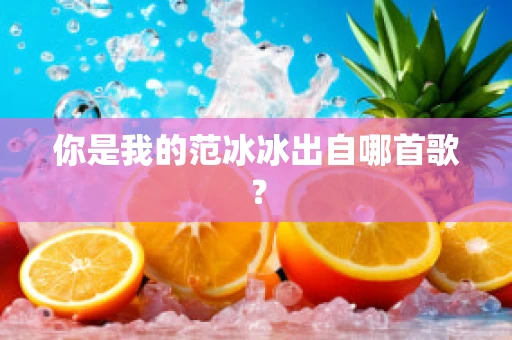 你是我的范冰冰出自哪首歌？