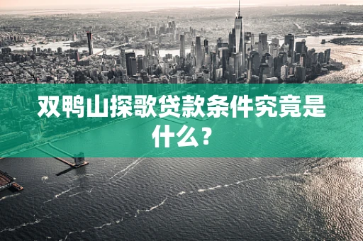 双鸭山探歌贷款条件究竟是什么？