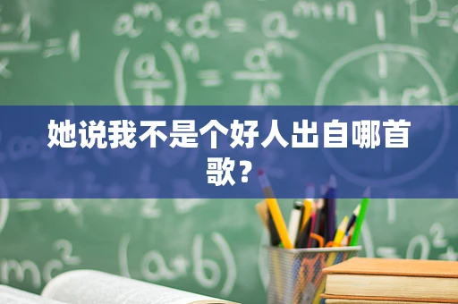 她说我不是个好人出自哪首歌？