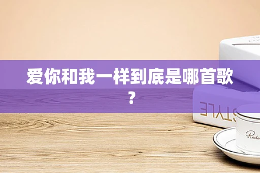 爱你和我一样到底是哪首歌？