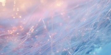 莹歌的英文名究竟是什么？