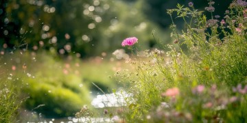 想要你慷慨究竟是哪首歌的歌词？