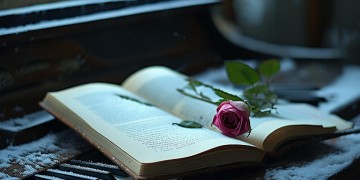 失去了还要珍惜究竟是哪首歌？