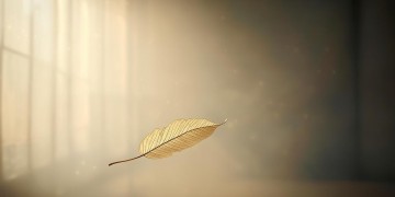 没人在乎你的累出自哪首歌？