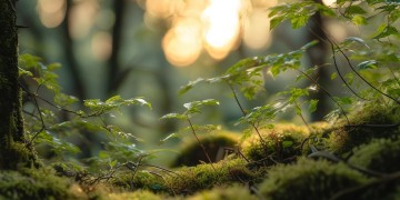 后来才回来这句歌词出自哪首歌？