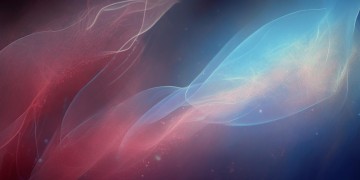 我总是那么爱你究竟是哪首歌？