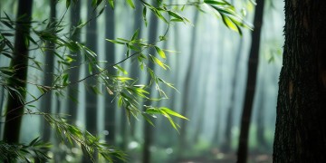 胡歌饰演剑痴是在哪部电视剧？