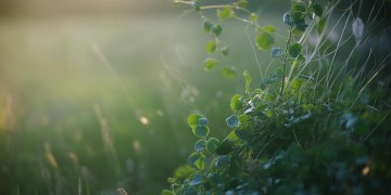 白发青丝一瞬间究竟是什么歌？