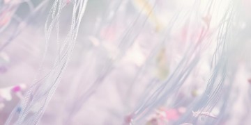 缘分让我认识了你这句歌词出自哪首歌？