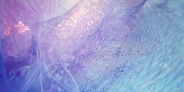 我该把你放在哪里究竟是哪首歌？