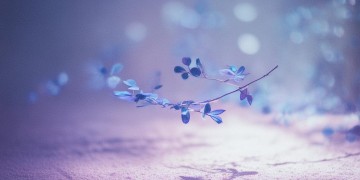 虽然有时候很孤独究竟是哪首歌？