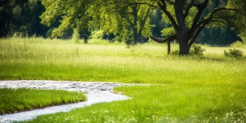 时间也改变不了我究竟是哪首歌？