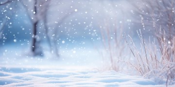 24号河南下的雪对应着什么歌呢？